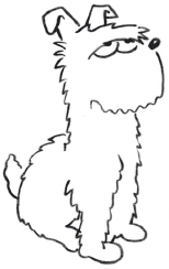 P&D Hund P&D Hund